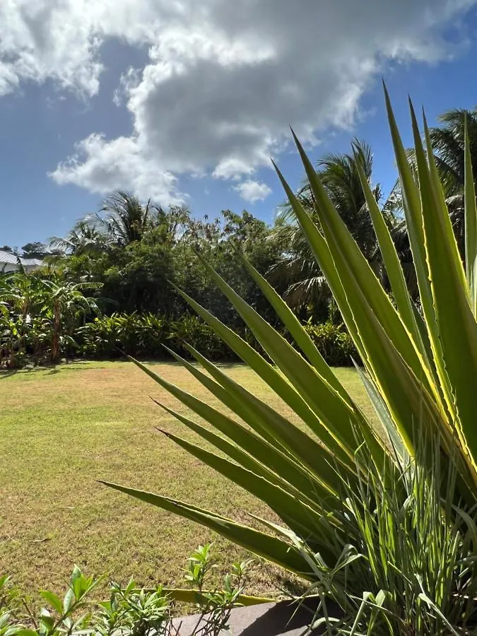 Cool Premier Apts. - Airport/Sgu Blow Hole 0*,