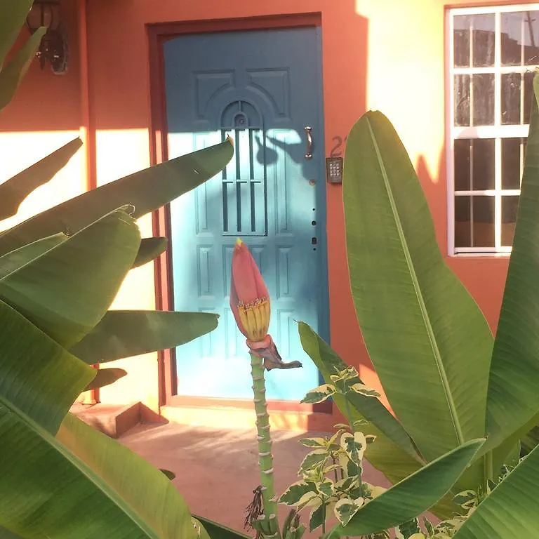 Cool Premier Apts. - Airport/Sgu Blow Hole 0*,  Grenada