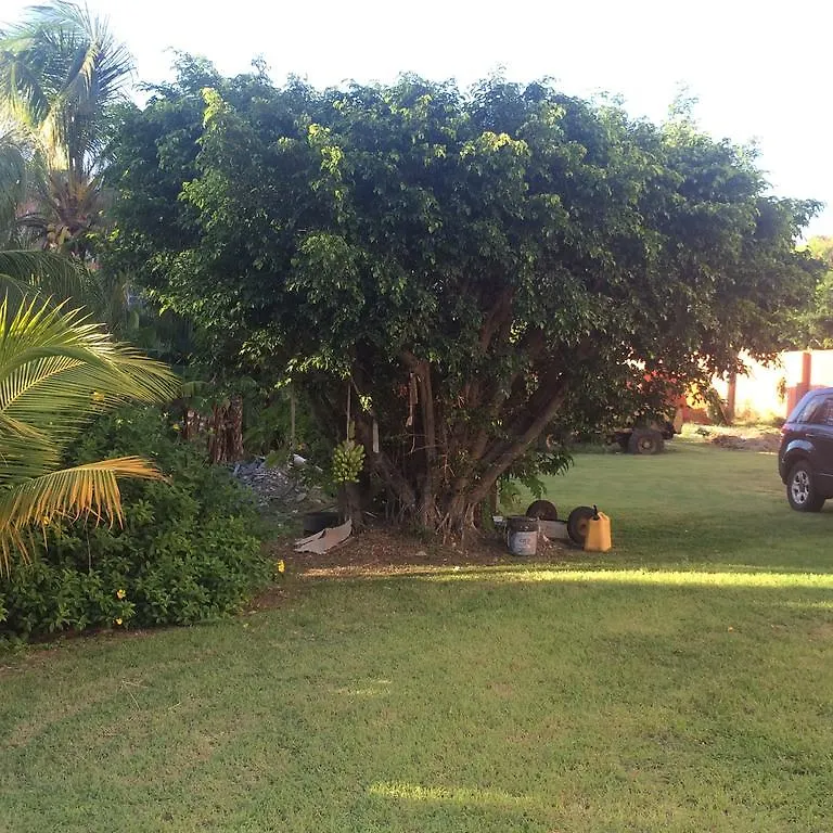Cool Premier Apts. - Airport/Sgu Blow Hole Apartamento