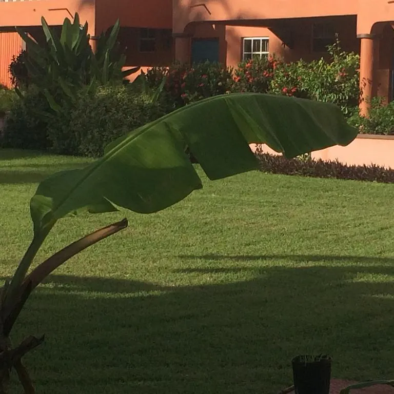 Apartamento Cool Premier Apts. - Airport/Sgu Blow Hole Granada